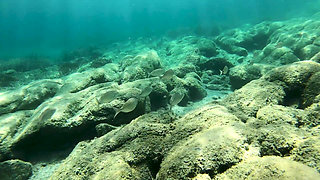 Snorkeling Vlog Real Couple Outdoor