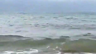 I Met Two Cats on the Beach and Made Out with Them Right There