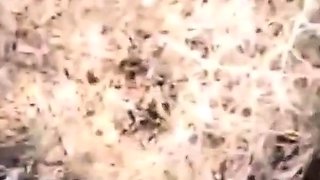 French Amateur Adult Video: Je Mouille Pour Toi