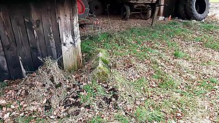 Swell the tits in the stable