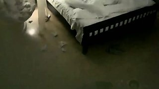 Amateur Hidden Cams Reveal Cock Riding Hoes