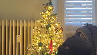 Striptease and Pantyhose Change. Hard Fucking in Ripped Dark Pantyhose