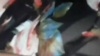 Youngenglishbbw Sucking BBC Nata4sex ass to pussy pounding