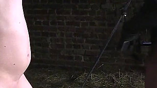 Extreme CBT and Ballbusting