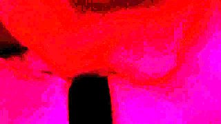 Real Couple Intimate Moment Under Red Lights