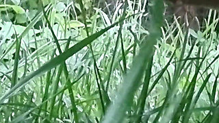 Pissing Compilation. Golden Rain. Femdom Piss. Shaving Pussy. Ep 10311