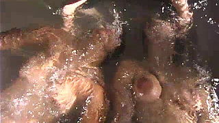 Venus and Dragonlily