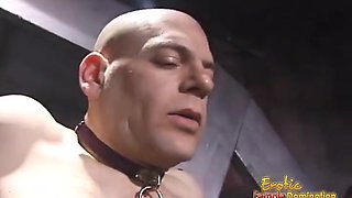 Two Dominatrix Sluts Did All Sorts Of Things To A Hard Cock