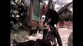 Vulgar Whimsical Pig