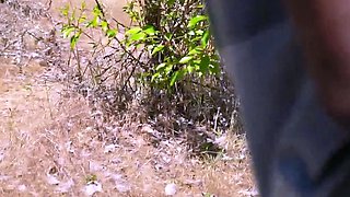 Group sex video with euro party fuck and some big boobs