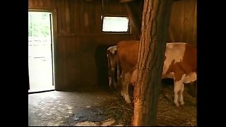 Excellent Adult Clip Brunette Exotic Will Enslaves Your Mind