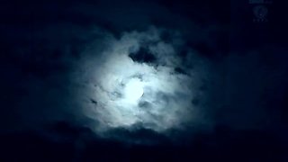 Group Sex and Hardcore Fucking Parties