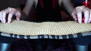 AftynRose ASMR - moody kitty play time