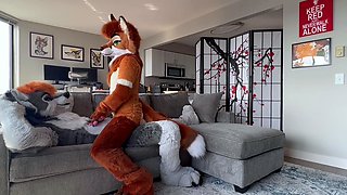 Amateur Couple Doggystyle