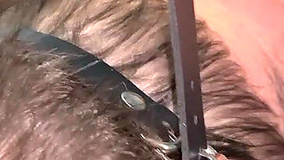 My boyfriend eats all his cum on my tits after a good handjob and massage of my tits