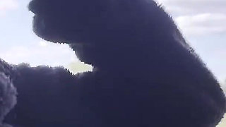 I Sucked It on the Bus