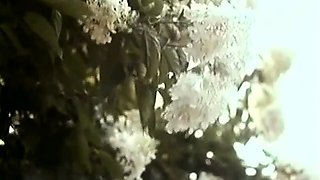 Hot amateur close up Doggy style HD video