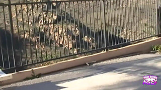 Visiting a Friend Got This Guy Into a Threesome with Two Fuckable Lesbian Bitches