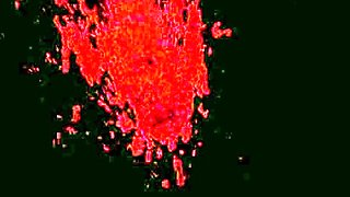 Busty brunette bitch with big boobs