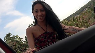 Sole Vargas gets her pussy pounded in the car by horny couple