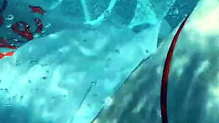 Join Me in the Pool, on My Mv Crush