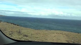 TEEN ASIAN SKANK MILKS DICK IN CAR