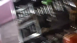 New couple video in gujarat Desi bhabhi ki chudayi