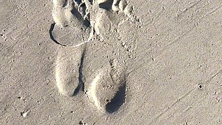 Comparing Size 16 Feet to Sand Prints at the Beach