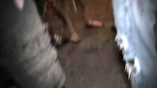 Beauteous goomah's coed action