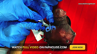 Dominatrix Mistress April - Fix him down xhv