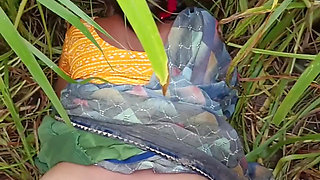 In outdoor open field corn