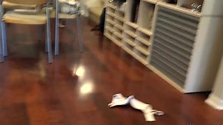 Blonde Bombshell Nicole Nichols Delivers Steamy POV Passion