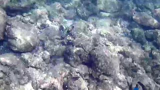 Amateur Outdoor Brunette Masturbates