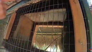 Skinny Thai harlot fucked in the pool