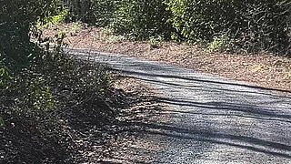 Pissing Whore in the Woods in the Car Door Wide Open Getting Caught She's a Hoping