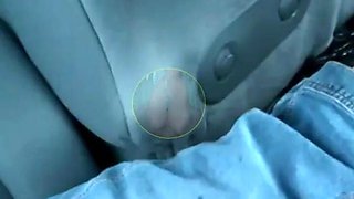 Doggy Inside the Car