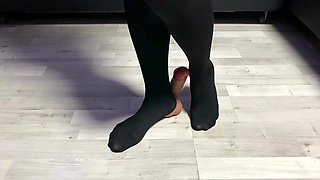 Sexy Dominatrix in Nylon Pantyhose Is Trampling Your Cock