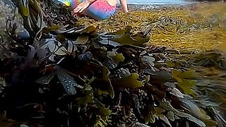 Mermaid Spotted! Wet Encounter in Lost Cove
