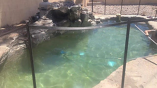 BBW Cleaning Her Pool