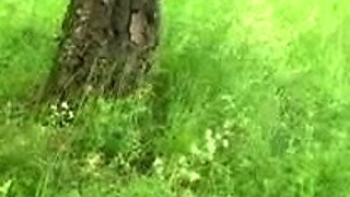 Blonde teen stuffed with cock outdoors