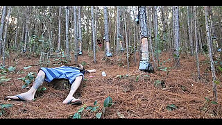 Was It a Dream? Complete in Sheer