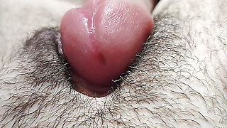 I want to rub against