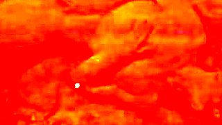 Secretary group sex hardcore fucking blond girl facia