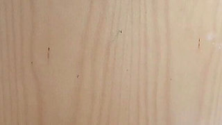 Boss and Secretary Pantyhose Addictive Relationships